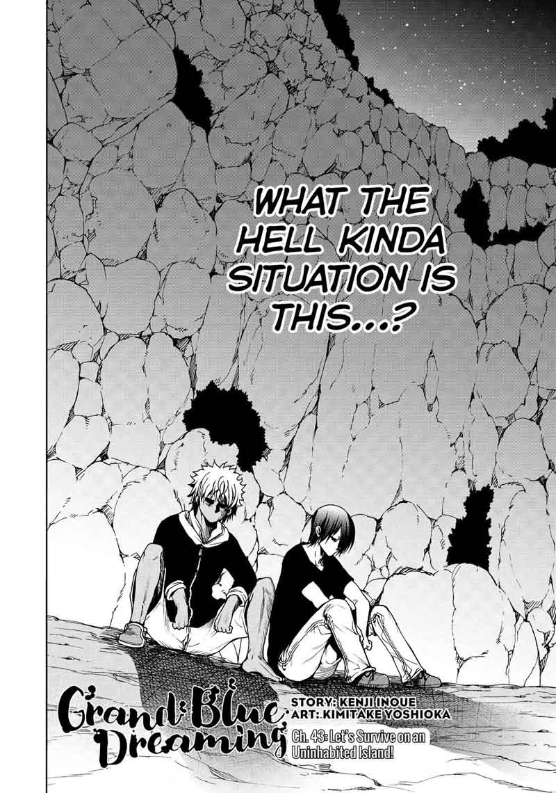 Grand Blue Dreaming Manga Chapter 43 page 2 - Let's Survive on the Uninhabited Island!